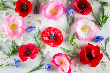 Obraz na płótnie Canvas Flowers background. Red and pink poppy and blue cornflower on light green background.