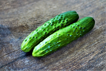 Still life of fresh vegetables. Cucumber (Cucumis sativus). Add to your diet and get vitamins PP, C, B, potassium, magnesium, macro and trace elements.