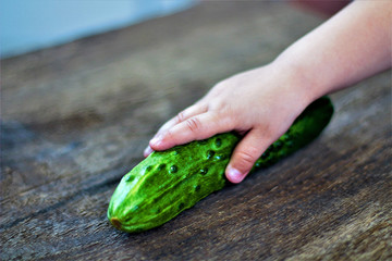 Still life of fresh vegetables. Cucumber (Cucumis sativus). The child is laying vegetables on the...