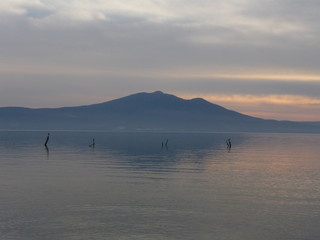 Chapala 5