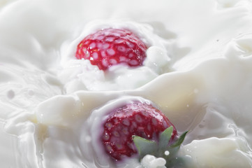 Obraz na płótnie Canvas pure falling strawberry into milk with splash