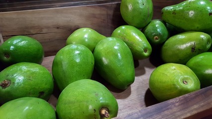 Avocado