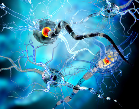 Nerve cells, concept for neurodegenerative and neurological disease, tumors, brain surgery. 