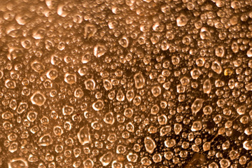 Large and small drops of water on cobweb hanging on daisy bush. Drops of dew glistened in sun. Bright colorful dreamy artistic image with space for copy. Selective focus, lens tilt shift