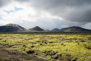 Lava field along Golden Circle, Reykjavik, Iceland