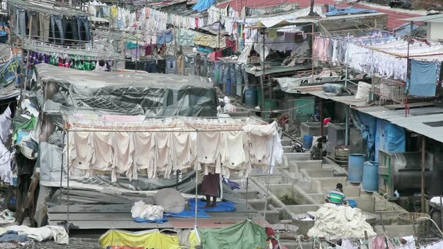 Washing, Dhobi Ghats, Mahalakshmi, Mumbai Bombay, India, Asia