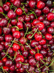 Cherries Background.