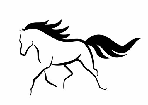 sketch of running beautiful horse