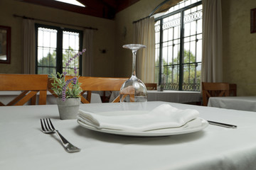 presentacion mesa y plato 6