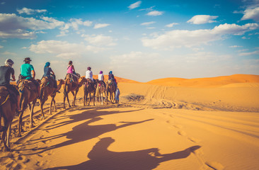 Camel caravan with unidentified tourists going through the sand dunes in the Sahara Desert,...