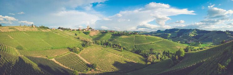 Fototapeta na wymiar Langhe vineyards landscape of Piedmont, Italy