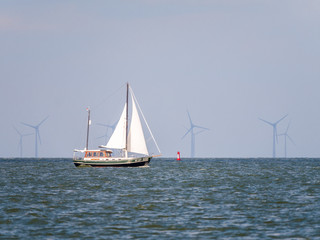 Obraz premium Sailboat sailing on lake IJsselmeer and windturbines of windfarm Urk, Netherlands