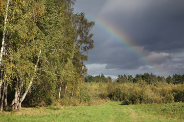 Landscape near Nikola-Lenivets village. Kaluga oblast. Russia