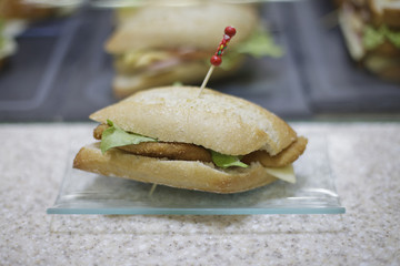 pulga de pollo