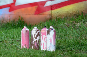 A few used paint cans lie on the ground near the wall with a beautiful graffiti painting. Street...