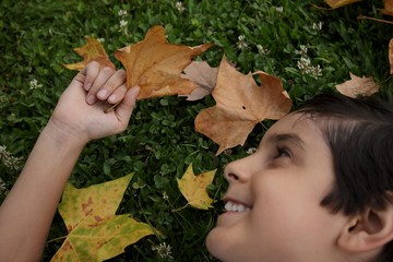 Autumn party