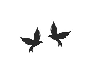 Bird Logo Templat