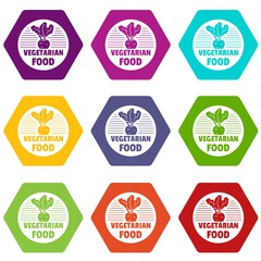 Vegetarian food icons 9 set coloful isolated on white for web