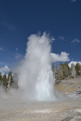Grand Geyser eruption
