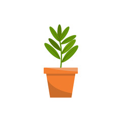 Fototapeta premium Spring colorful flowers in pots Vector