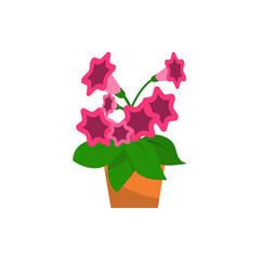 Spring colorful flowers in pots Vector