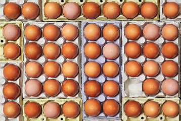 A lot of eggs and unique one empty space over a egg cartons.