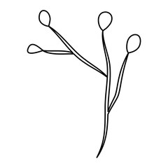 branch with seeds natural icon vector illustration design