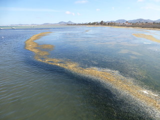 Los Urrutias, localidad del municipio español de Cartagena en Murcia (España) Está integrado en la diputación de El Algar, en la costa del Mar Menor