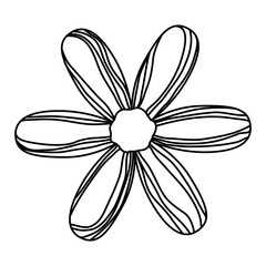 beautiful flower decorative icon vector illustration design