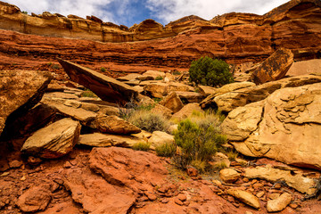 The massive rock formations found on the Maze Overlook Trail below the rim in the Canyonlands National Park, make a hiker appear quite tiny..