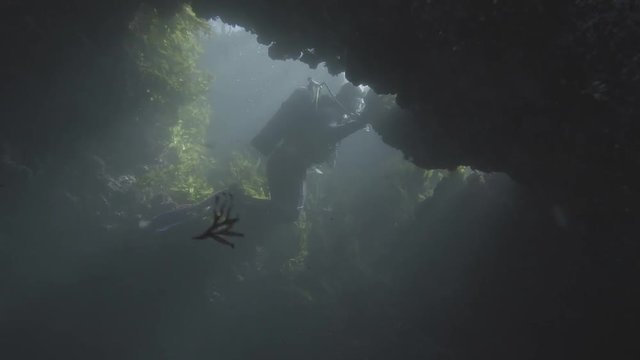 Cave Diver