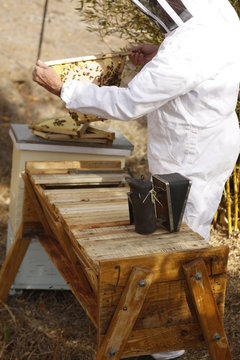 Australian Farmer Tending His Bee Hives With His Vintage Antique Smoker On His Private Farm With Homemade Bee Boxes In Rural Australia