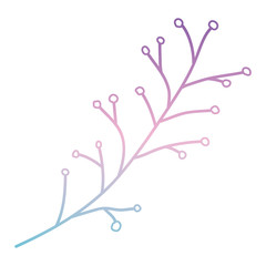 branch with seeds natural icon vector illustration design