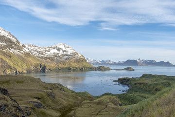 Fototapeta na wymiar The Bay at Maiviken, South Georgia Island, Antarctic