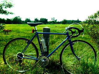 Fototapeta na wymiar blue bicycle grass