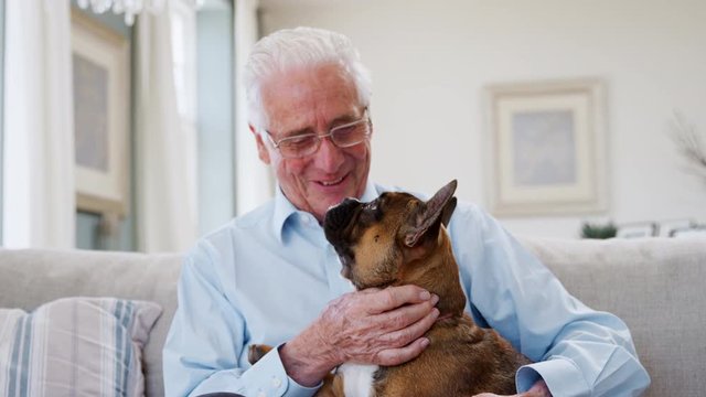 Senior Man Sitting On Sofa At Home With Pet French Bulldog