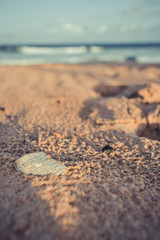Sand