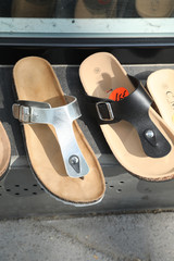 Chaussure