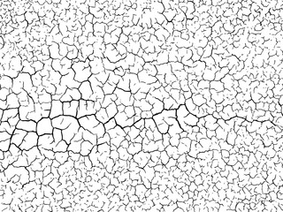 The cracks texture white and black. Vector background.Cracked earth. Structure of cracking. Cracks in dry surface soil texture.