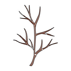 Fototapeta premium autumn tree branche wooden vector illustration design