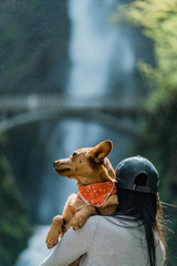 waterfall dog and girl - 207219044