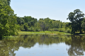 fresh water lake surrounded by green grass and trees backdrop