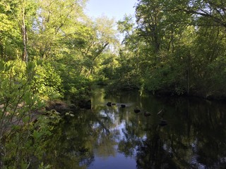 Fototapeta na wymiar Calm River in New Jersey Pine Barrens