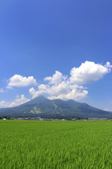Fototapeta premium 夏の田んぼと磐梯山（福島県・猪苗代町）