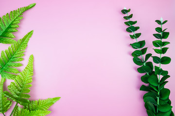Tropical Jungle branches leaves Monstera on pink pastel color background. Flat lay, top view Concept welcome summer minimal. Flat lay of Botanical nature. Floral elements design,Green foliage.
