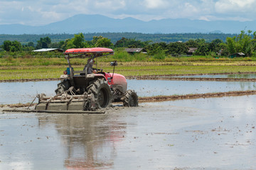 tractor in field