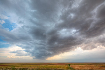 Naklejka na ściany i meble Dark stormy clouds over wheat field