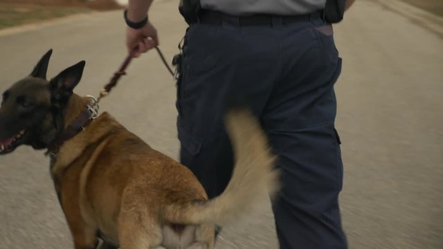 A police walks with a K9 dog to inspect for possible drugs or explosives.