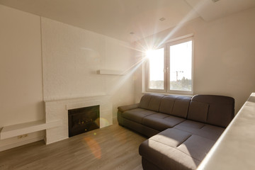Modern, stylish living room with big gray sofa