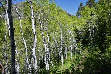 Hiking path views of the Oquirrh Mountains along the Wasatch Front Rocky Mountains, by Kennecott Rio Tinto Copper mine, Tooele and the Great Salt Lake Valley in spring. Utah, USA.